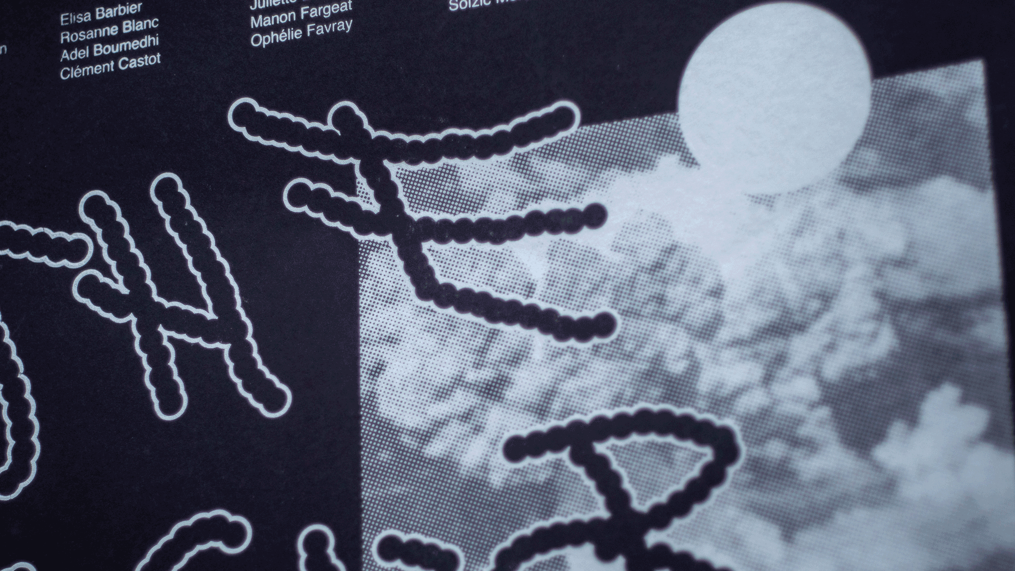 Adel Zeghoudi Boumehdi dégommette création de caractère typographie design graphique specimen affiche livre film Thibault Robin