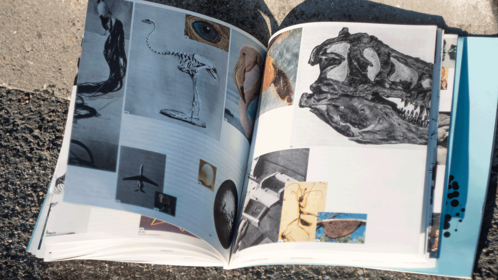 Adel Zeghoudi Boumehdi biennale exemplaire design graphique école d'arts france plus beaux livres Alain Rodriguez Vanina Pinter Sonia da Rocha