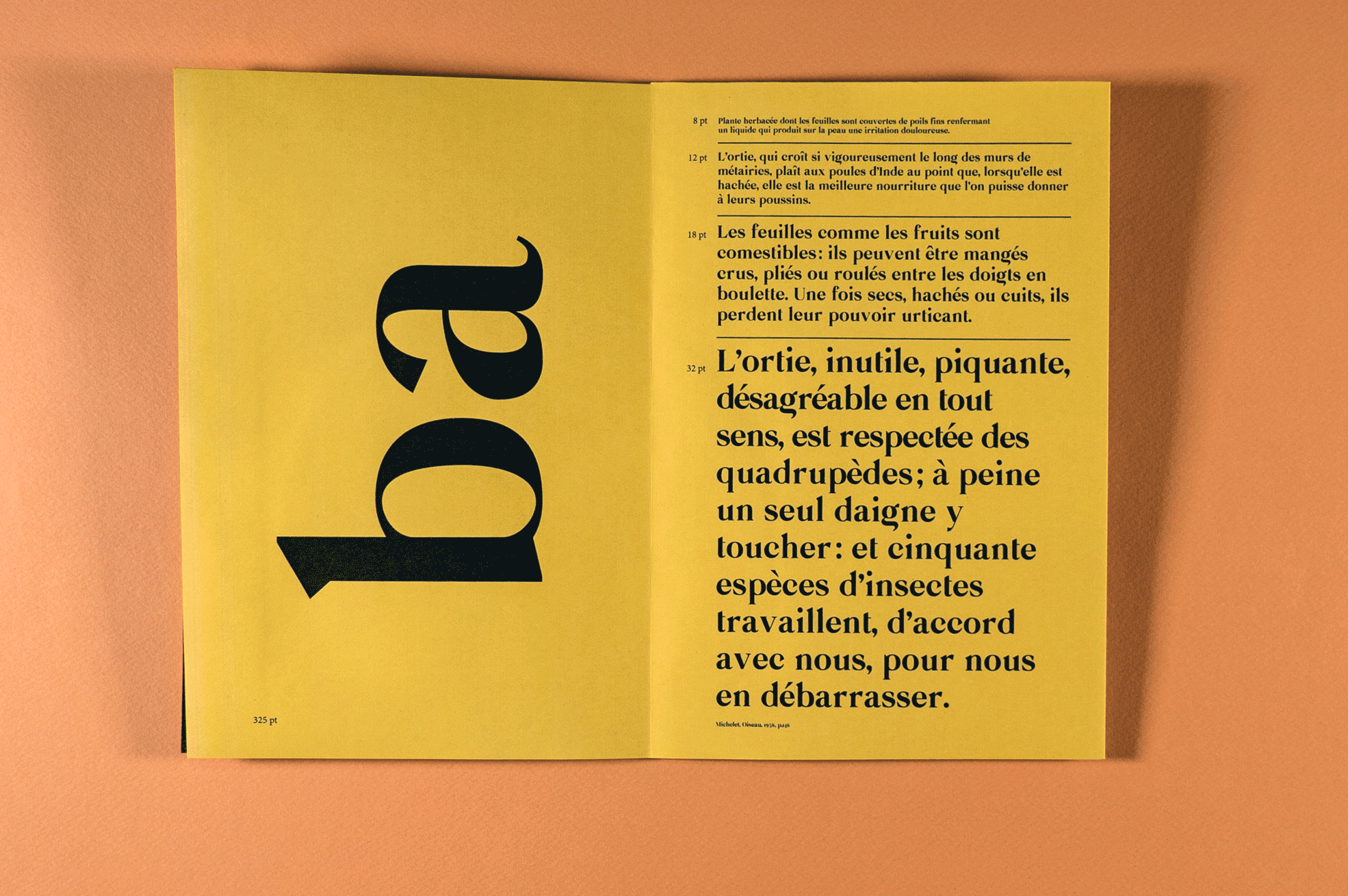 Adel Zeghoudi Boumehdi ortie création de caractère typographie design graphique specimen affiche livre